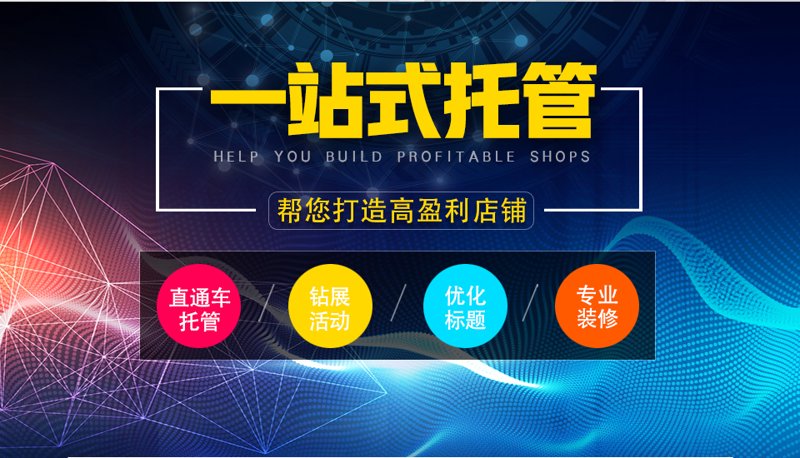 AI全自动养站程序：开启网络营销新时代