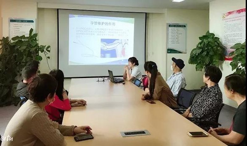 站群程序市场格局生变：从纯技术采购到AI全自动运营的决策逻辑重构